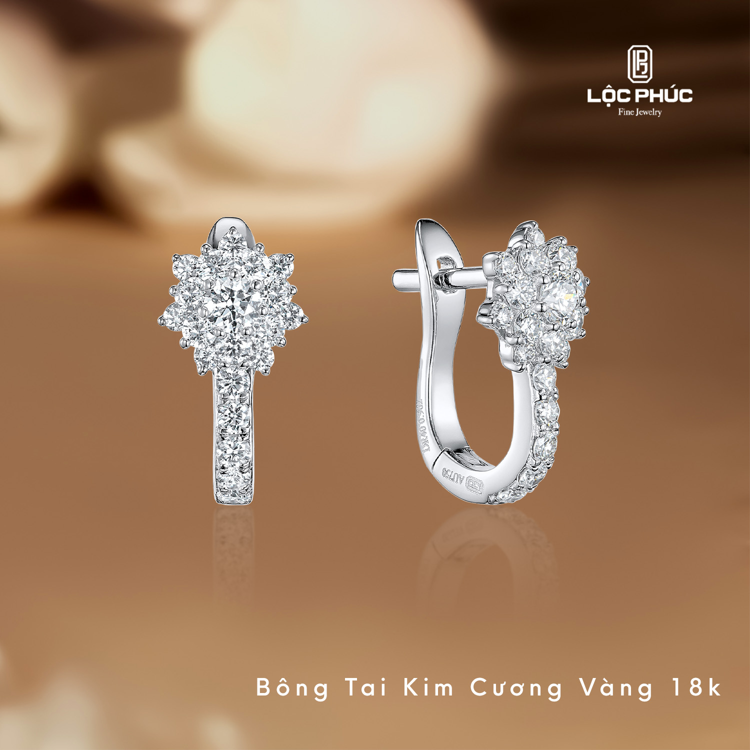 Hình Website Bông Tai Kim Cương  DEA0344AEW.WG01A.jpg